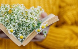 "Маст-хэв" на лето: мистика, детективы и романтика